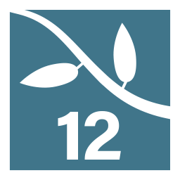 Lumion12(专业渲染软件)