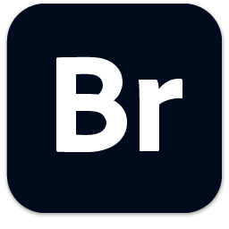 Adobe Bridge 2022(Br2022)
