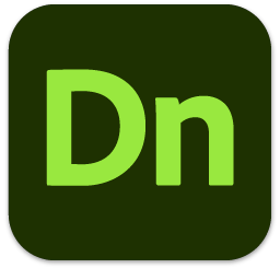 Dimension 2021(Dn2021)