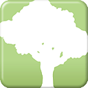 SpeedTree Modeler(树木三维建模软件)