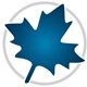 Maplesoft Maple 2019