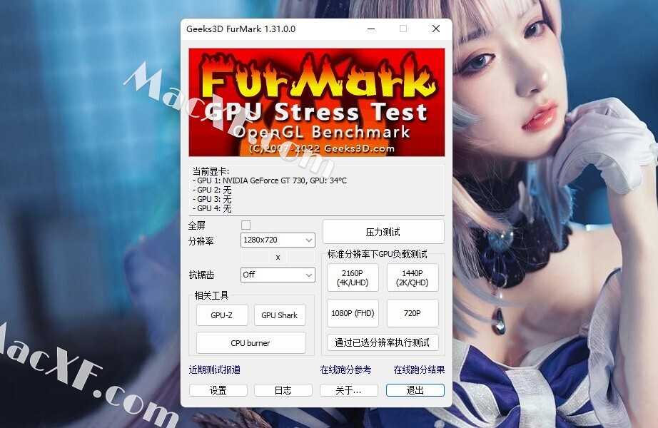 instal the last version for mac Geeks3D FurMark 1.35