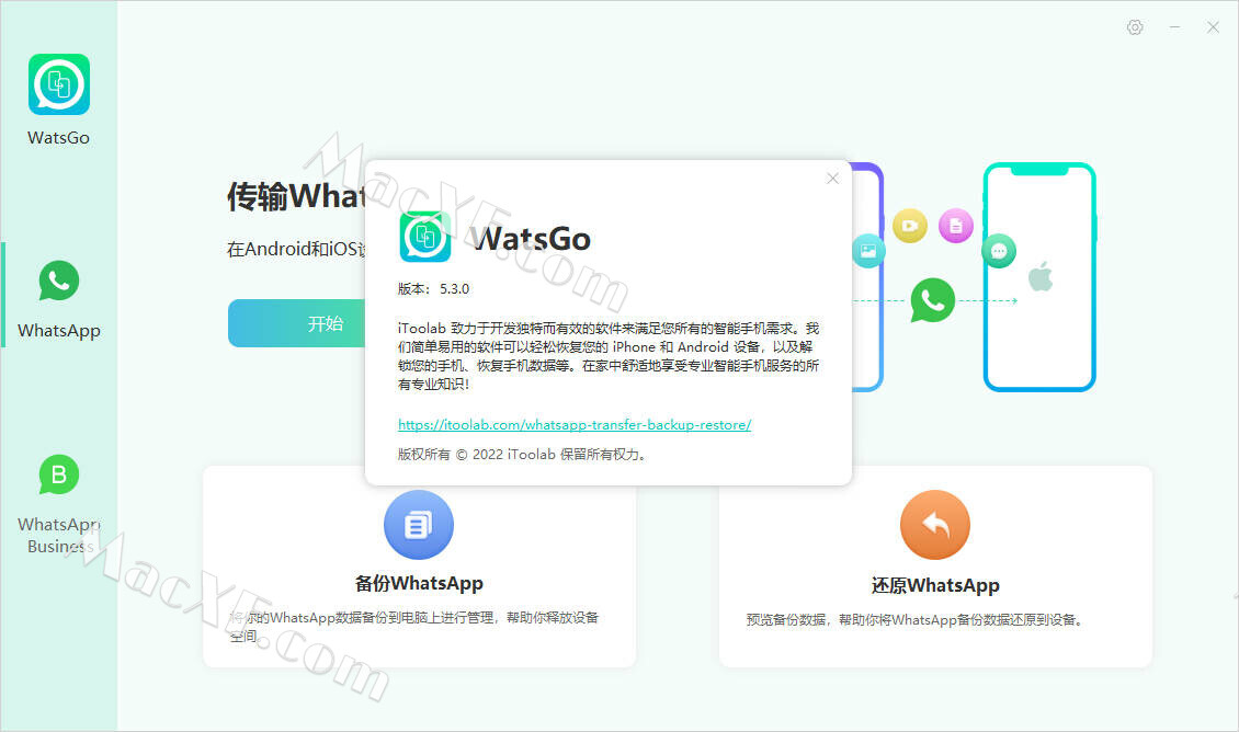 iToolab WatsGo 8.1.3 free instal